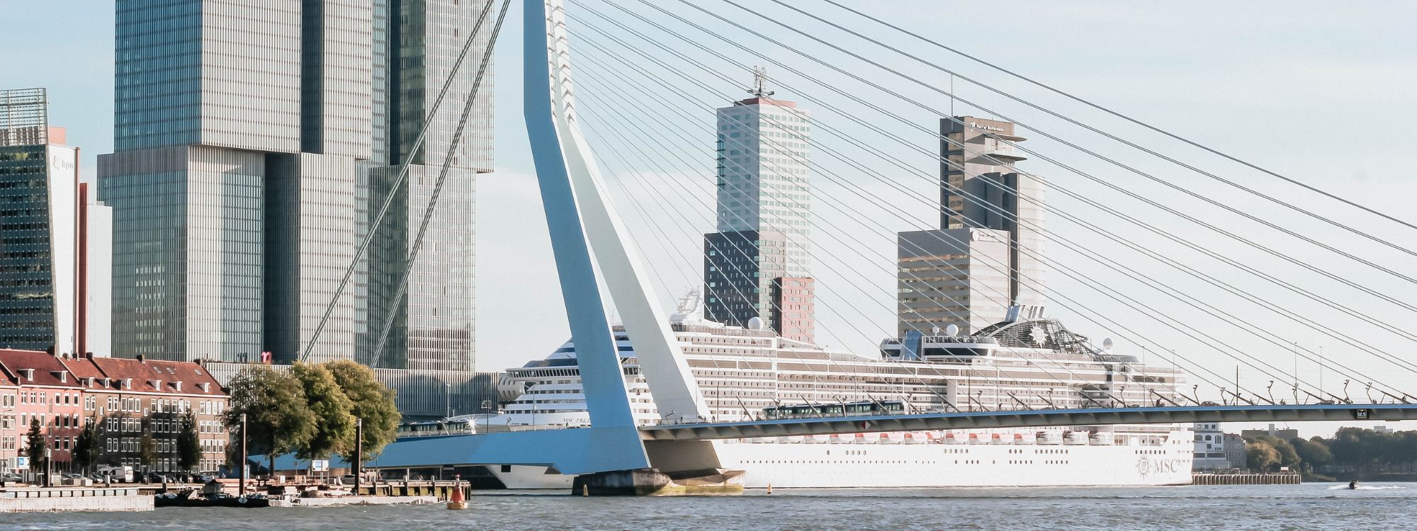 Cruise Terminal Rotterdam Guide
