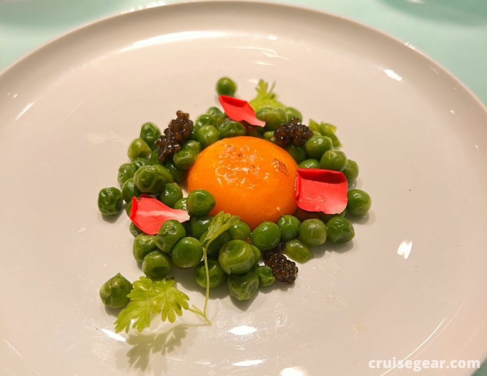 Test Kitchen Virgin Voyages Menu | 2023 | CruiseGear