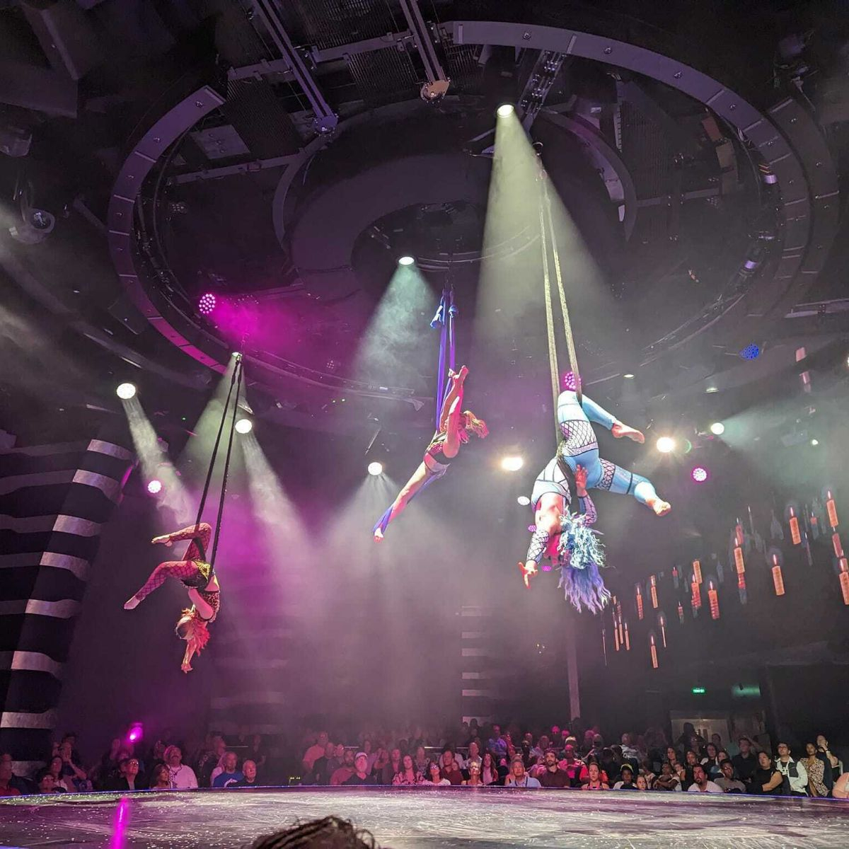 MSC Meraviglia Theater Show Cirque