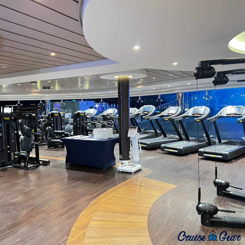 MSC Meraviglia Gym