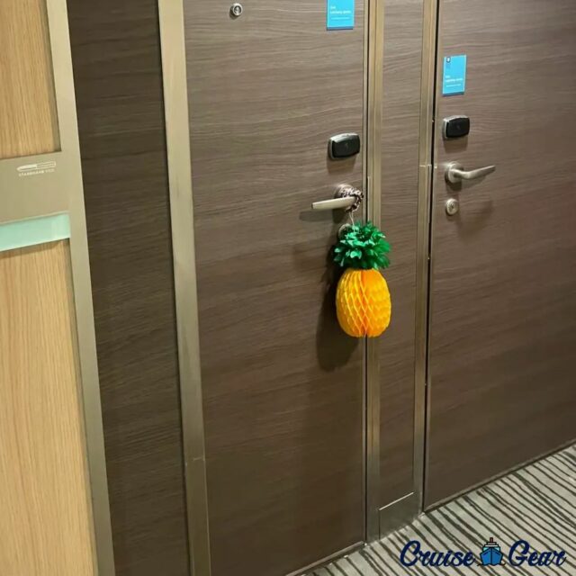 cruise cabin door pineapple