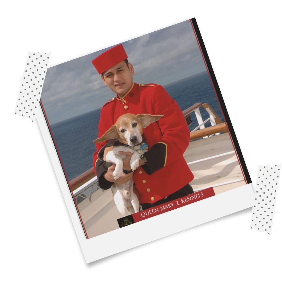 Dog on Queen Mary 2
