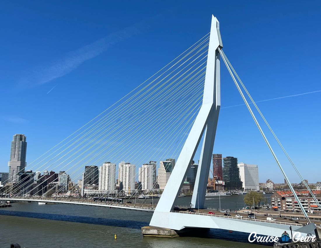 Best things to do in Rotterdam